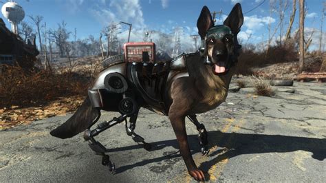 fallout nv rex|rex fallout 4.